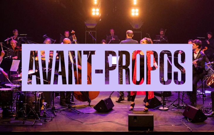 Photo du groupe Le Grand Pop sur scène