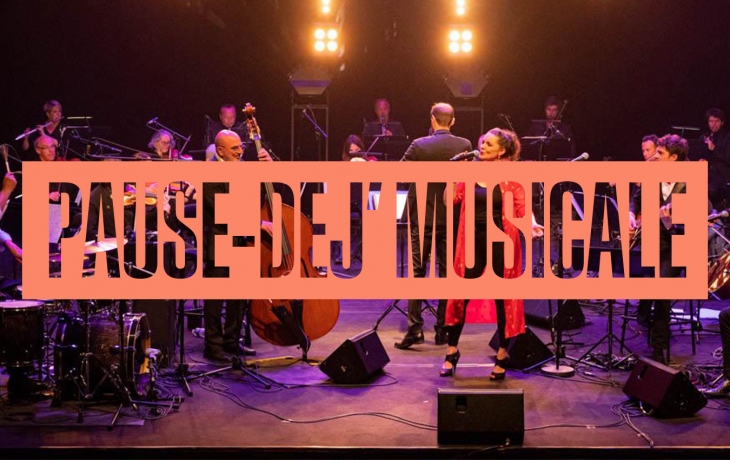 Photo du groupe Le Grand Pop sur scène