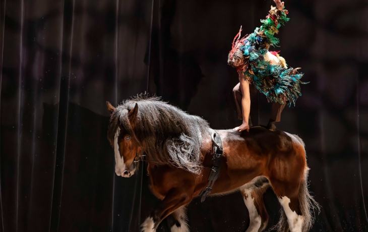 Un homme fait une acrobatie sur le dos d'un cheval 