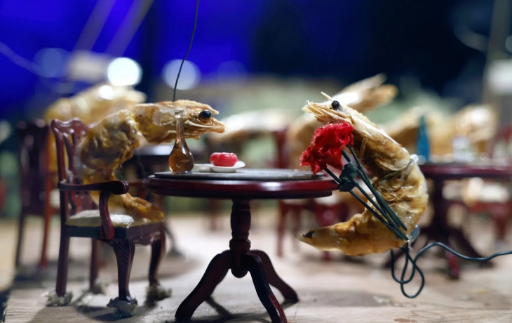 Crevettes à un rendez-vous amoureux