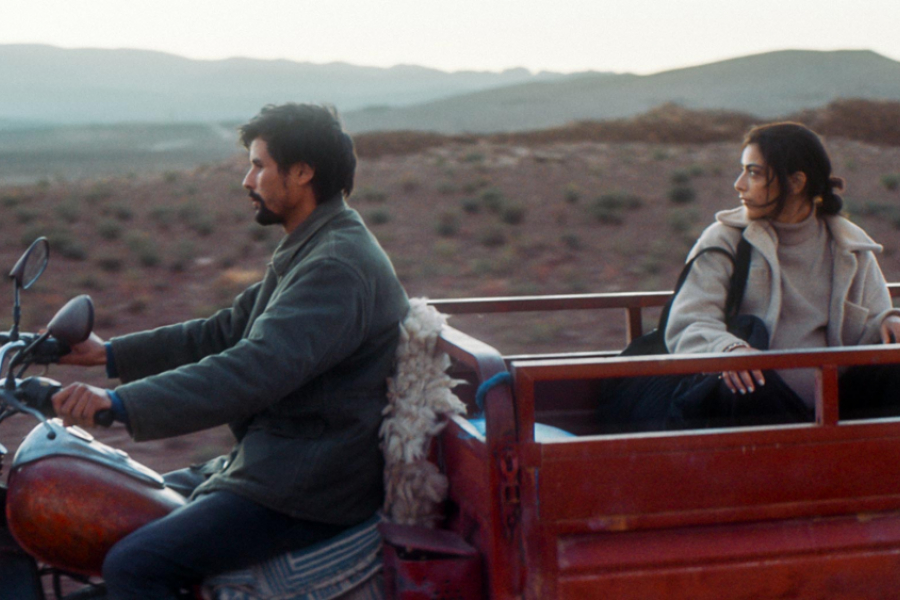 Animalia. Un homme et une femme sur une moto dans un décor désertique