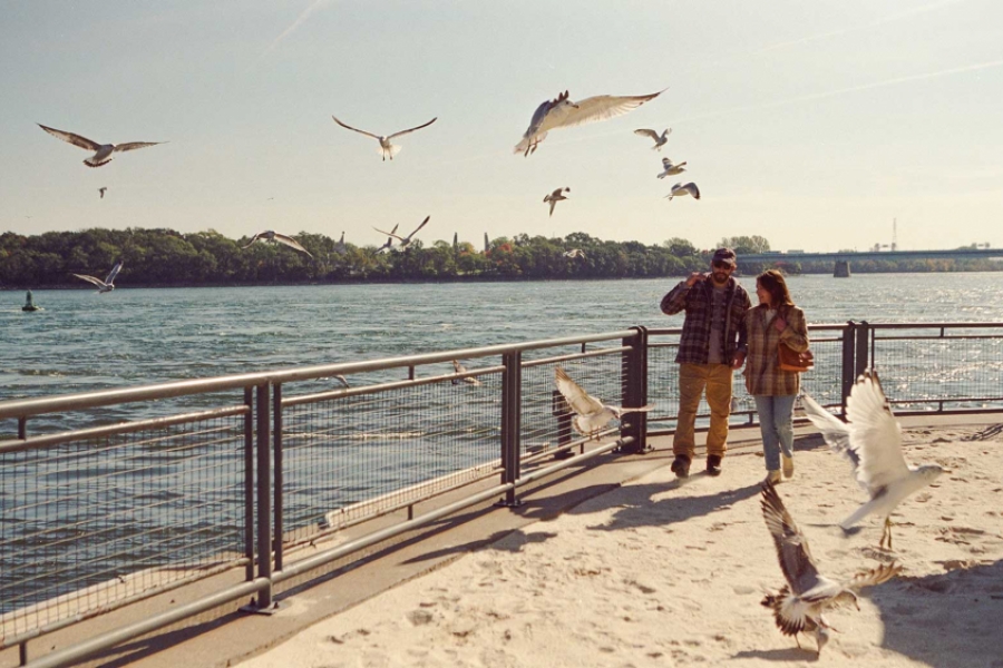 Homme et gemme au bord de l'eau, avec les mouettes autour