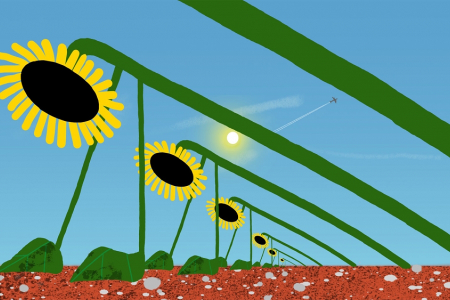 Champ de tournesols dessiné