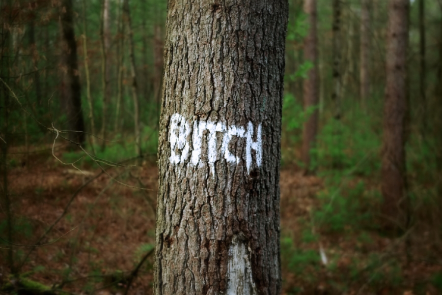 Arbre avec écrit "bitch" en peinture blanche