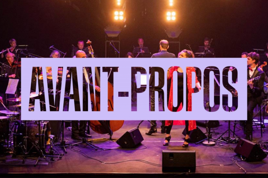 Photo du groupe Le Grand Pop sur scène