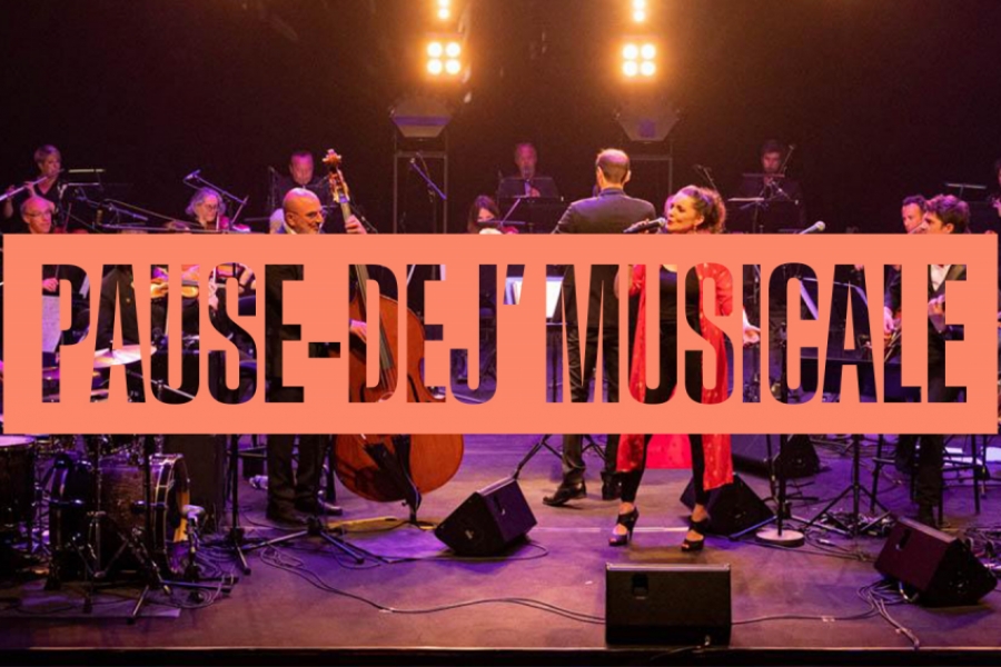 Photo du groupe Le Grand Pop sur scène