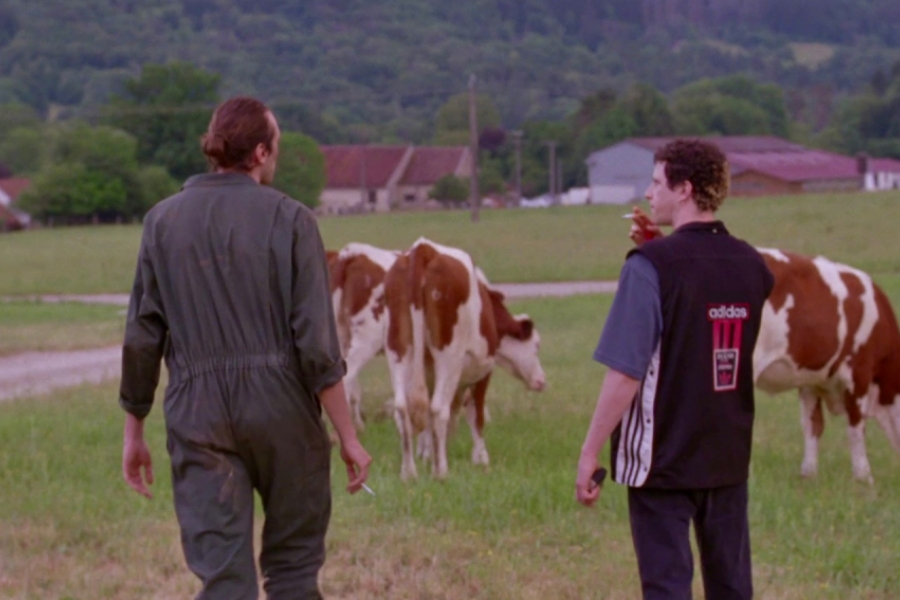 Plan large où on voit deux hommes de dos marcher dans un pré où il y a des vaches en arrière plan.