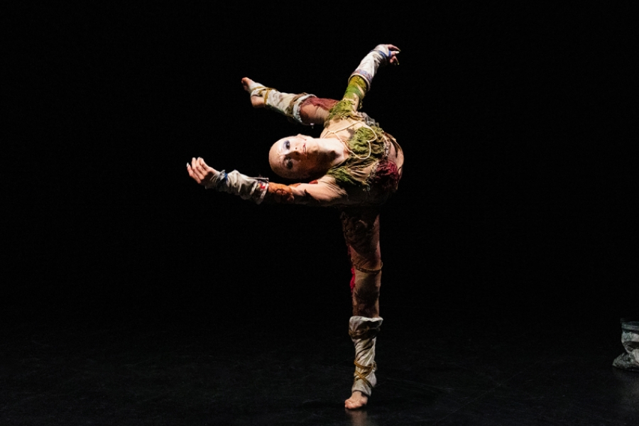 Danseuse sur scène avec un costume organique