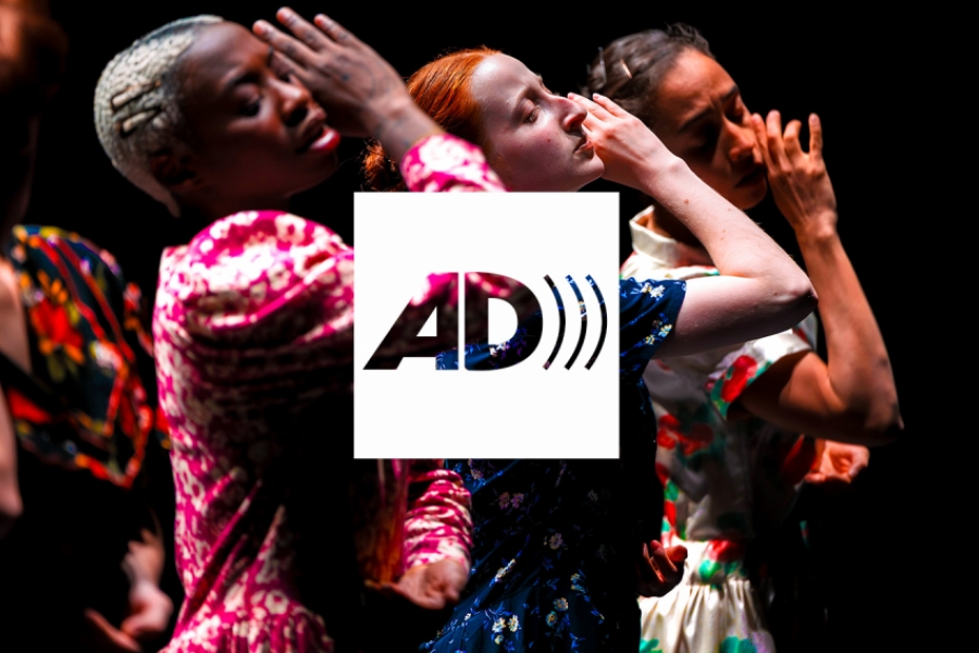 Audiodescription Maldonne
