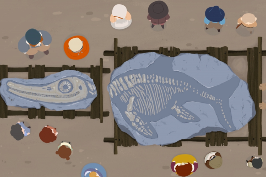 Vue de haut d'une découverte paléontologique d'un dinosaure. 