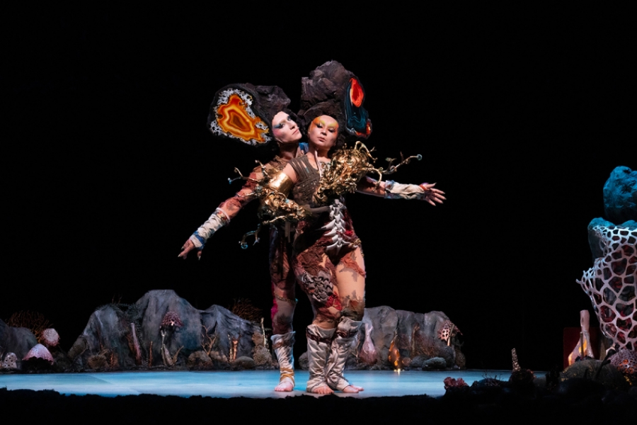 2 danseurs en costumes