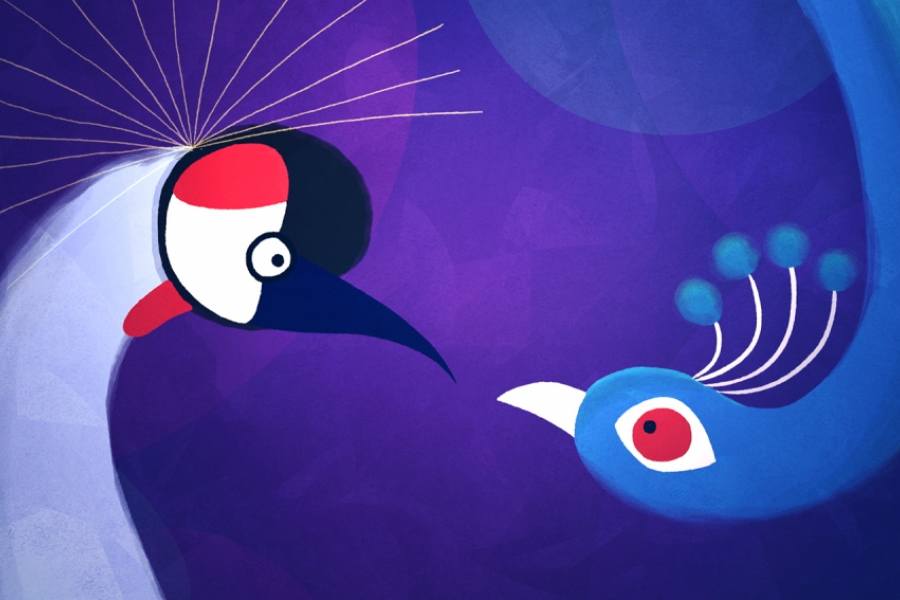 Deux oiseaux colorés se font face et se regardent