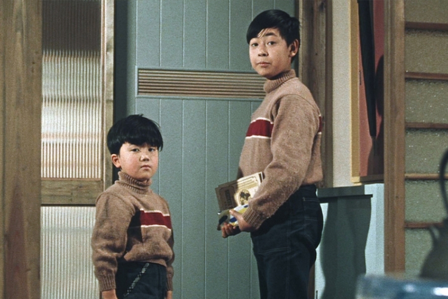 Deux frères, habillés de la même manière, se tiennent face à face dans une maison et regardent vers l'objectif