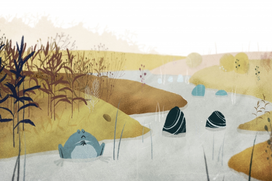 Un paysage aux couleurs chaudes et douces qui présente un court d'eau. Une grosse grenouille est dedans et ferme les yeux.