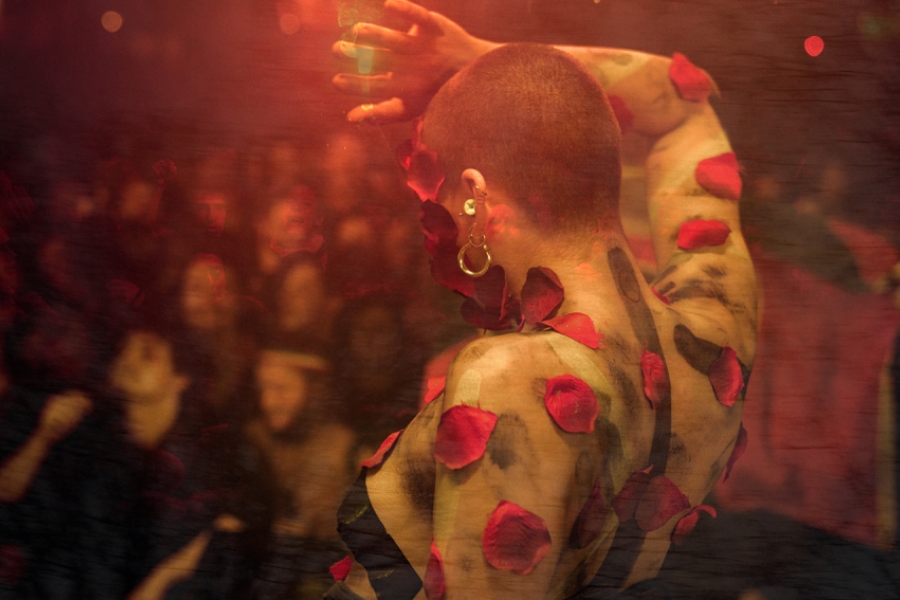 Vue de dos d’une personne sur scène, torse nu, la peau couverte de pétales rouges. Le bras est levé dans un geste de danse, avec un public flou et sombre en arrière-plan.