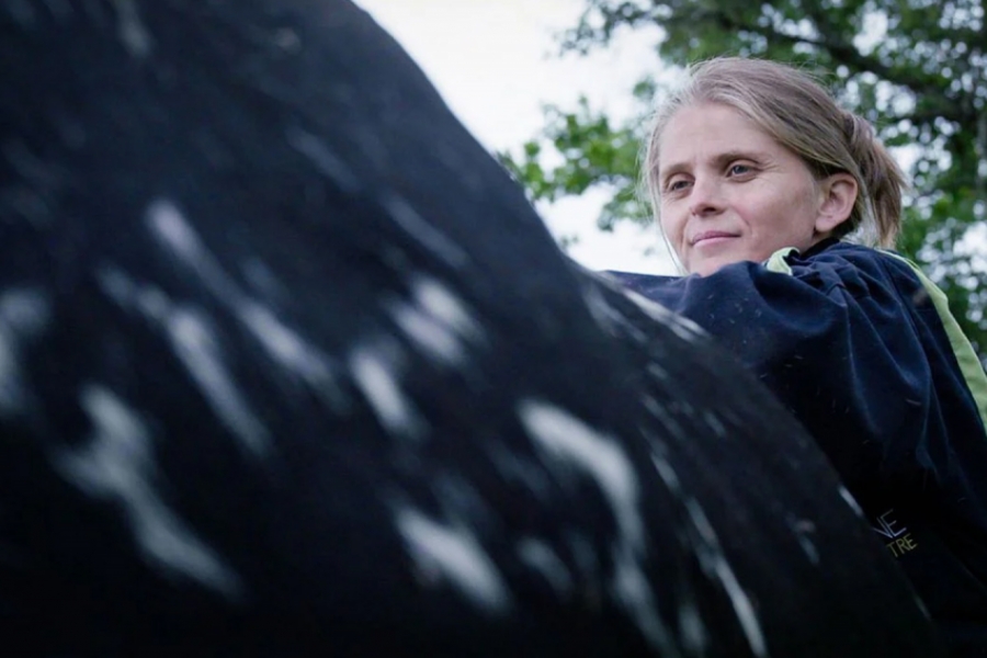 Femme proche d'une vache en gros plan