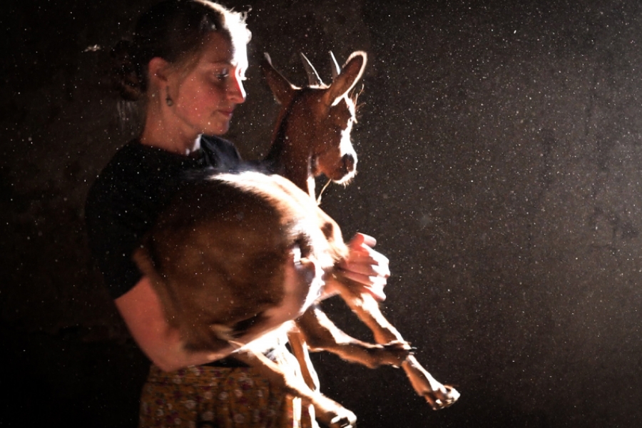 Femme agricultrice qui porte une chèvre