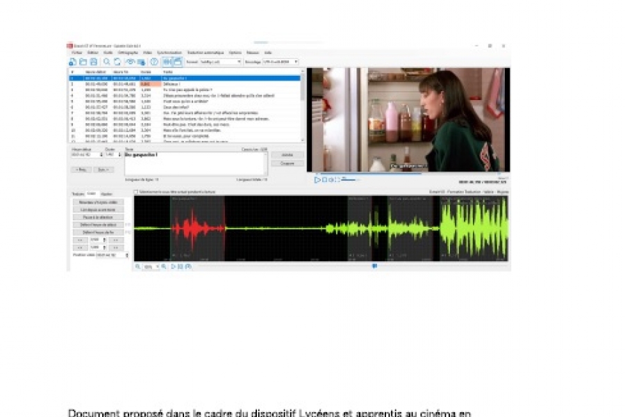Animer un atlelier sous-titrage en classe