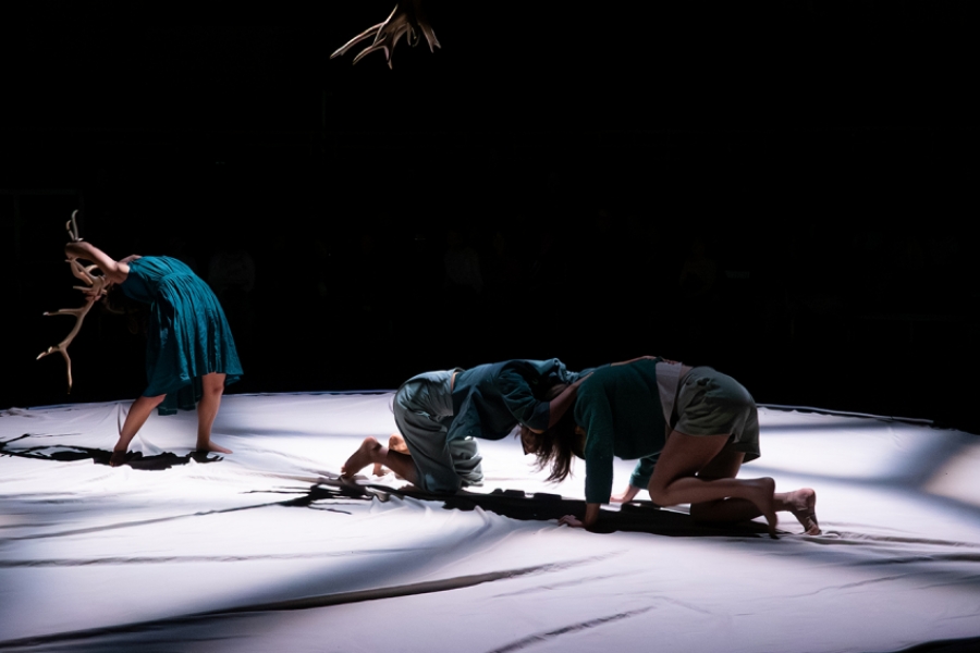 Trois danseuses sur scène, dont deux représentant un combat de cerf