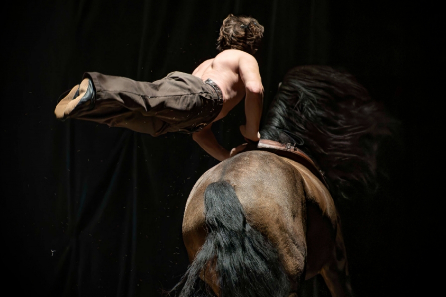 Un homme fait une acrobatie sur le dos d'un cheval, le corps parallèle à celui du cheval 