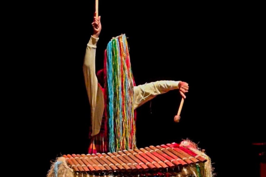Homme qui joue d'un instrument