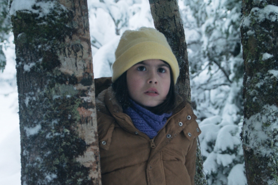 Enfant derrière un arbre 