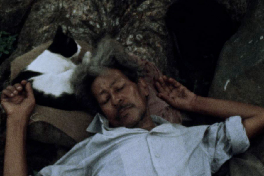 les ascensions de werner herzog