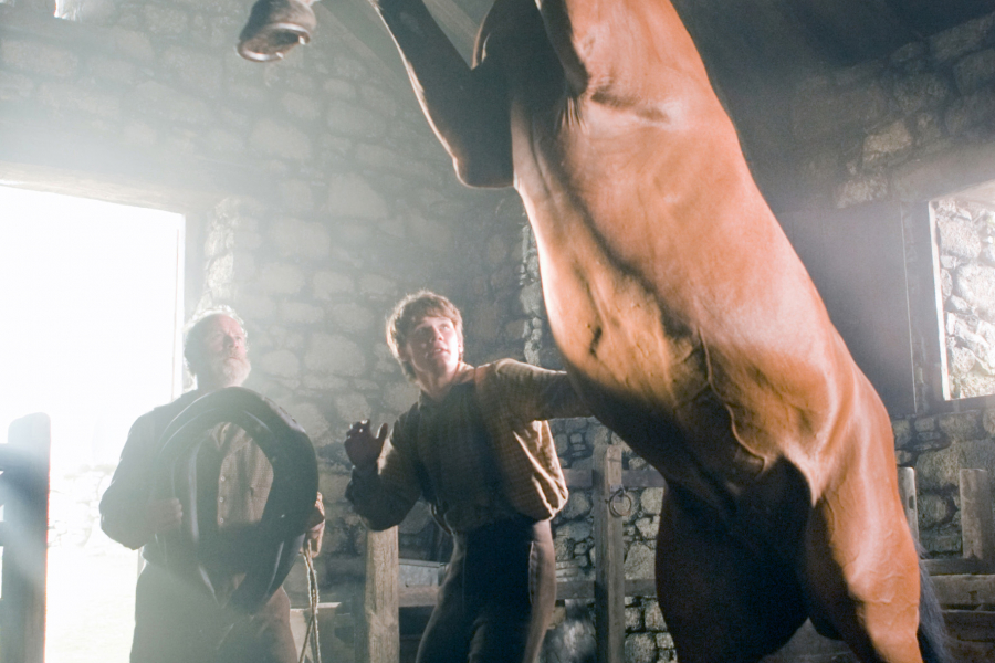 cheval-guerre-405255021