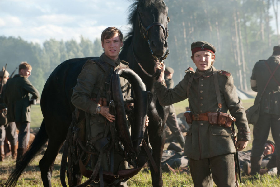 cheval-guerre-608690306