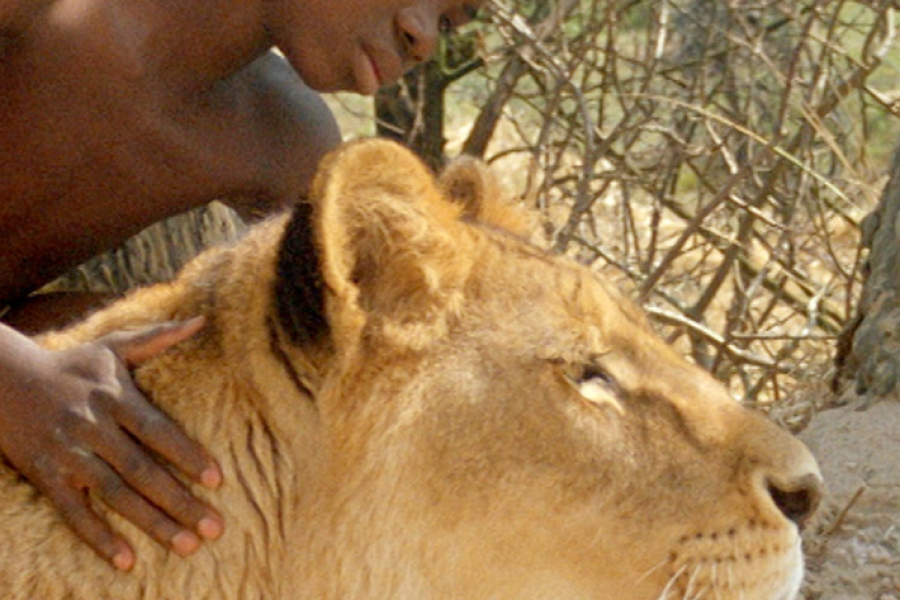 enfant-lion-1925569462