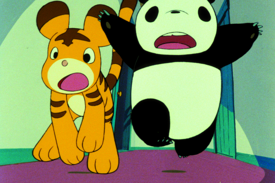 panda-petit-panda-1786925253