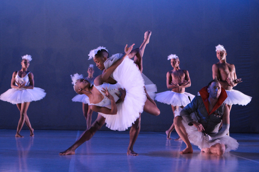 SWAN LAKE