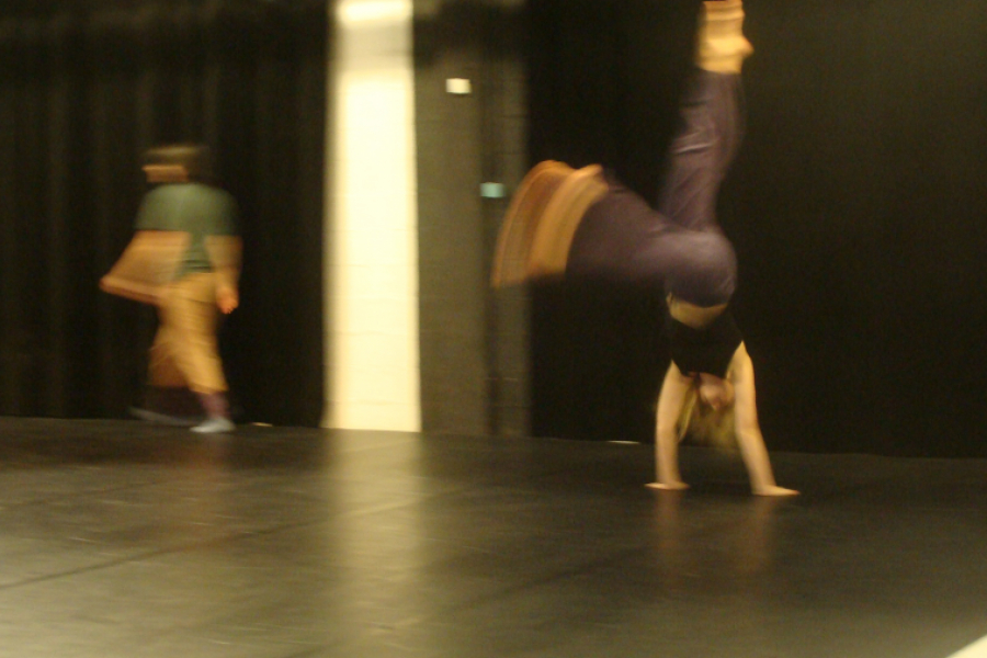 stage-danse-transmission